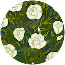 Gabriela Nestel profile picture